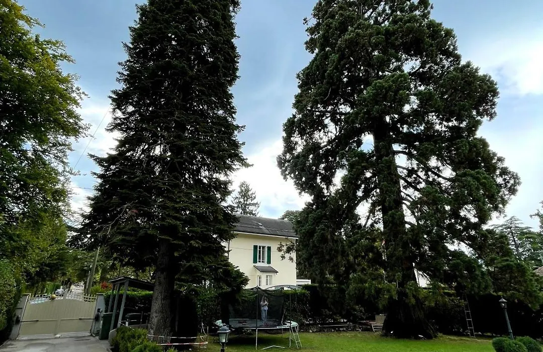 Residence Mont-Blanc-1